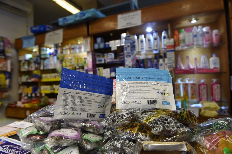 Compradores de marihuana estatal se duplican en 15 días en Uruguay