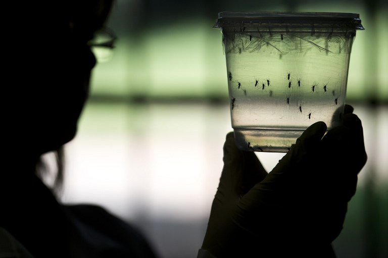 El zika también puede provocar mielitis, grave trastorno de los miembros
