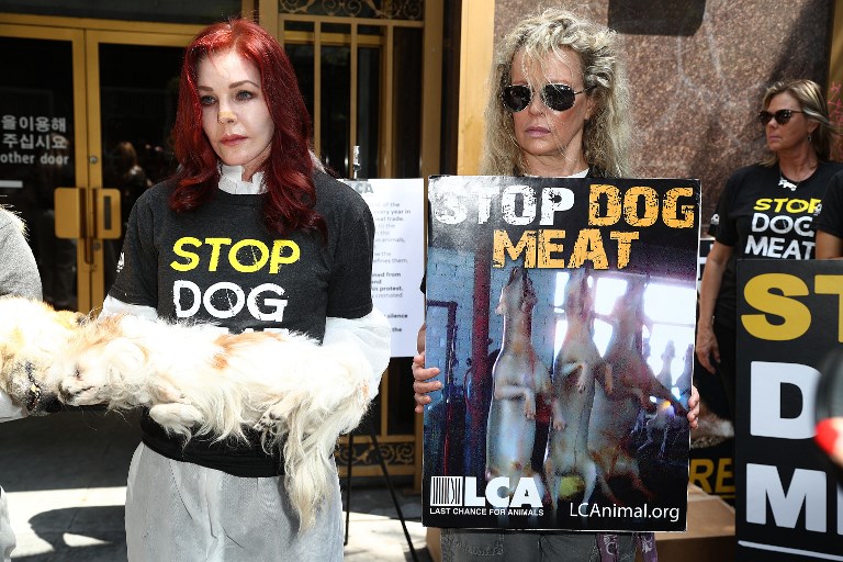 Reclaman prohibir carne de perro en Corea del Sur
