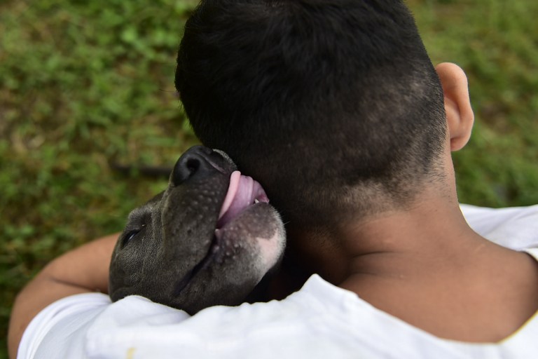 FOTOS: Ladridos contra el estrés, terapia canina en cárceles de Ecuador