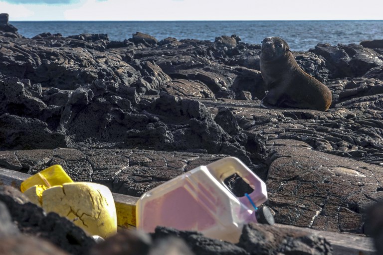 El plástico amenaza la vida en Galápagos