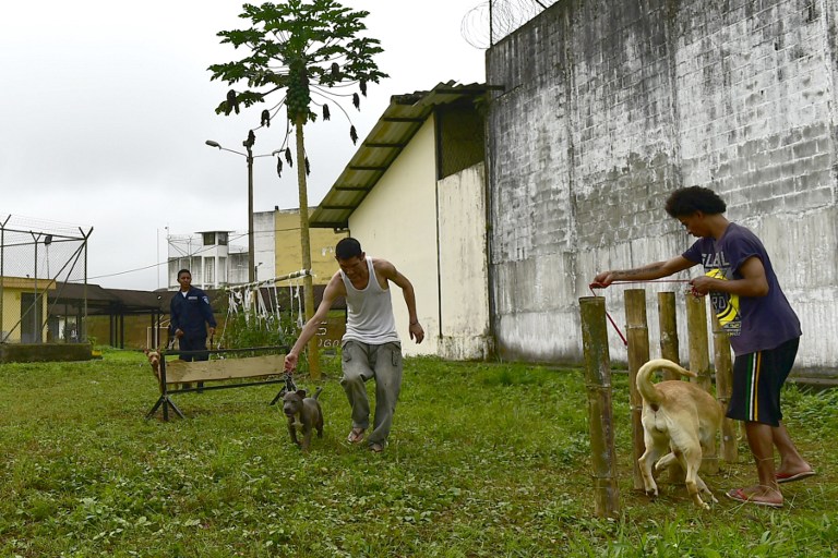 FOTOS: Ladridos contra el estrés, terapia canina en cárceles de Ecuador