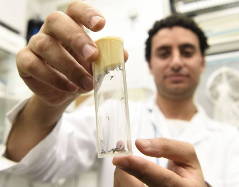 OMS cree que la vacuna contra el zika no estará lista antes de 18 meses