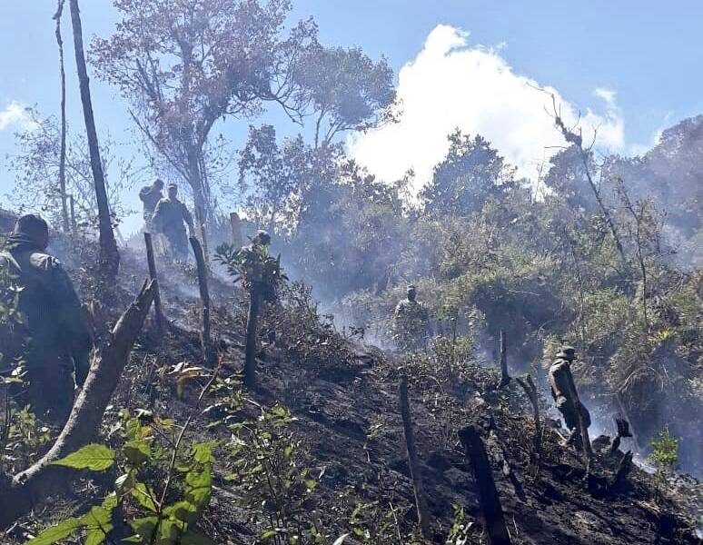 Incendio forestal afecta a zona en Carchi