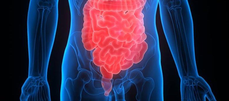 Un estudio confirma que los antibióticos aumentan el riesgo de cáncer de colon