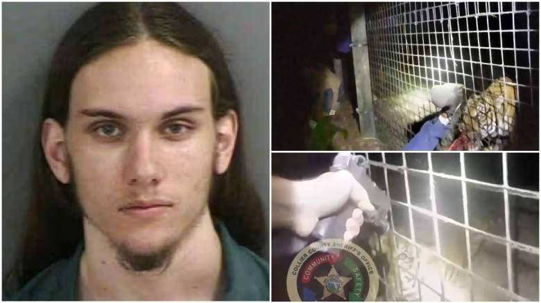 Trabajador atacado por tigre en zoológico de Florida puede enfrentar cargos