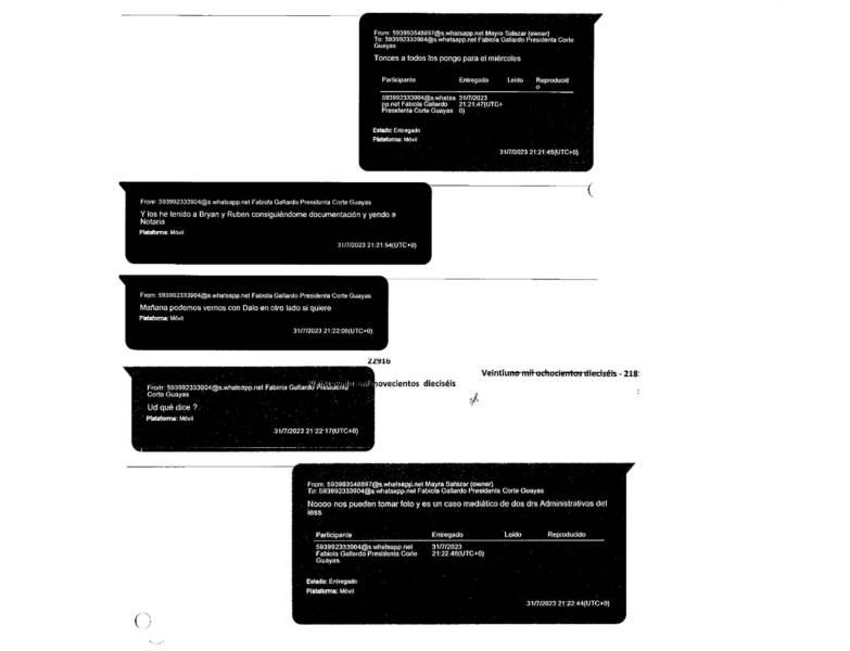 Chats del caso Purga