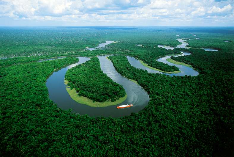 El Amazonas reduce a la mitad su capacidad para absorber dióxido de carbono