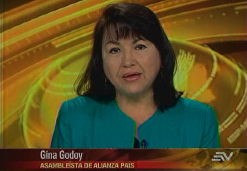 Godoy sobre recomendación de despenalizar el aborto: Ecuador tiene su postura