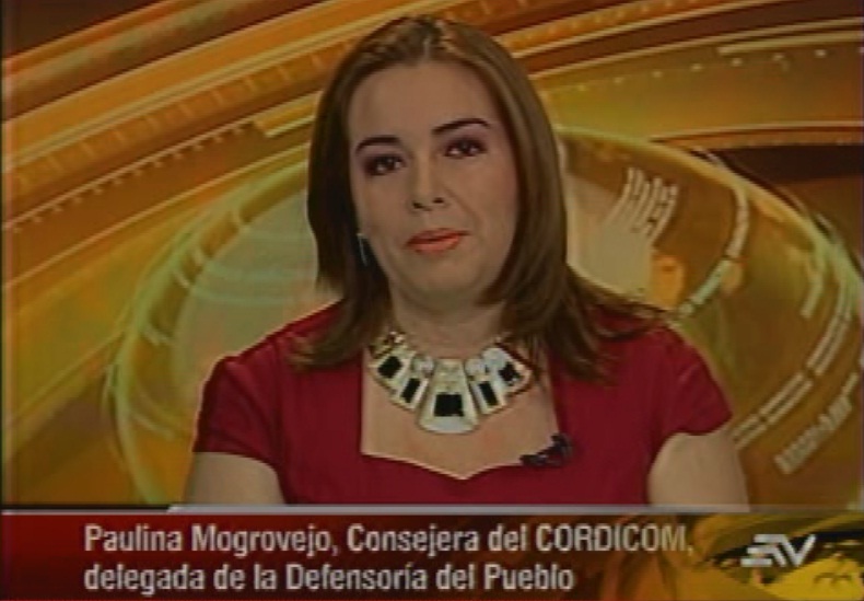 Mogrovejo: estamos concibiendo inadecuadamente el concepto de servicio público