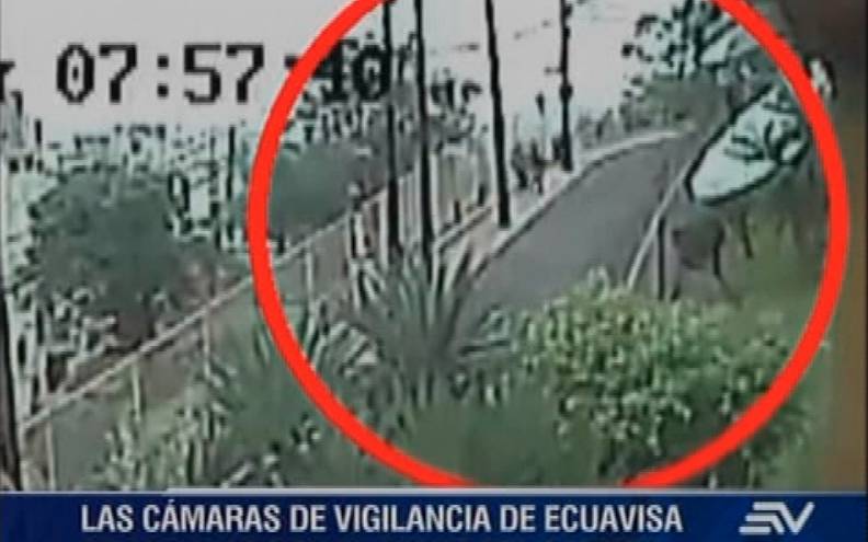 Cámara de videovigilancia de Ecuavisa capta robo en Cerro del Carmen