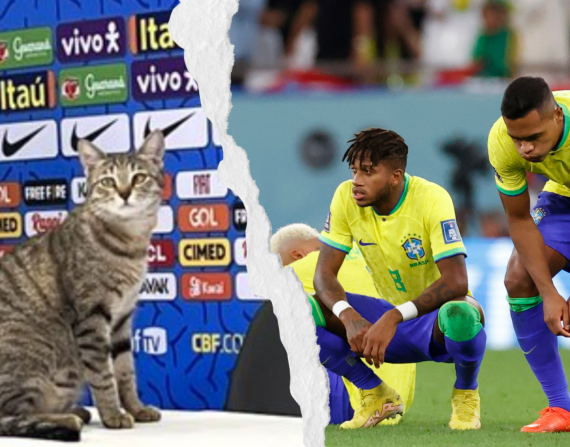 Qatar 2022: ¿Maldición del gato a Brasil antes del partido con Croacia?