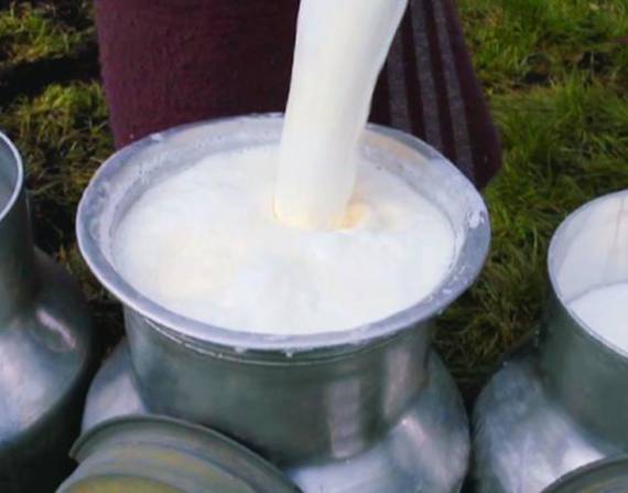 Productores de leche esperan apoyo del Gobierno para reactivarse luego del paro
