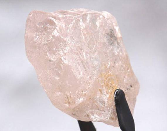 El diamante rosa encontrado por Lucapa Diamond Company.
