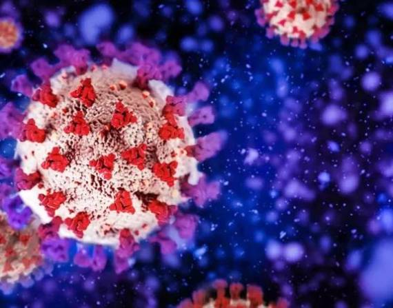 Covid: cómo actúa ómicron y cómo defendernos de esta nueva variante