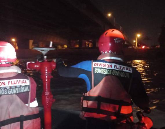 Impresionante rescate de una mujer que se lanzó del Puente de la Unidad Nacional