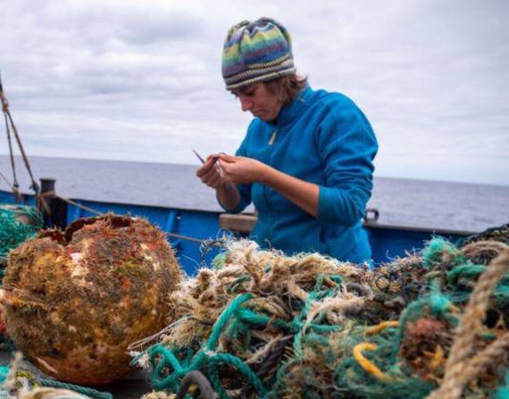 Los investigadores colaboraron con el Instituto Ocean Voyages para recolectar los residuos del océano.