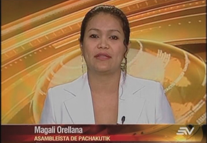 “Reformar la Constitución es demasiado peligroso”, según Orellana