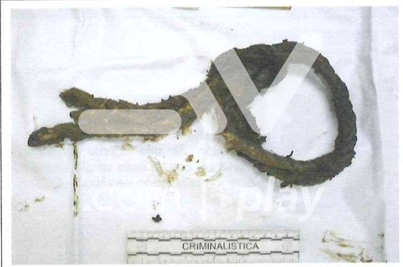 Los cuatro menores de Las Malvinas fueron maniatados.