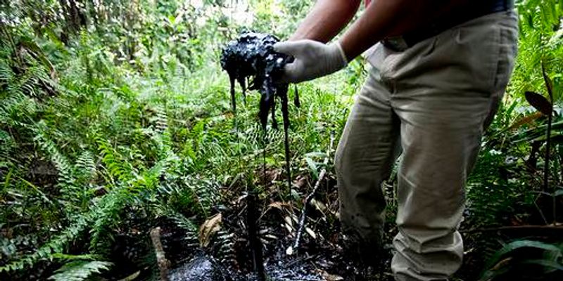 Reportan hallazgos de nuevo derrame en la Amazonía de Ecuador