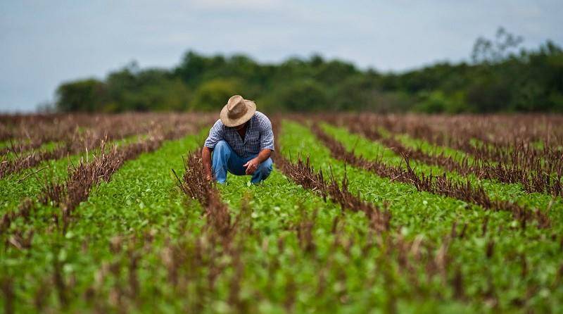 Ecuador y España tendrán programa de migración circular para 250 agricultores