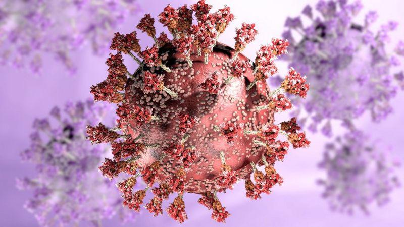 Ómicron: la nueva variante aumenta el riesgo de reinfección por coronavirus