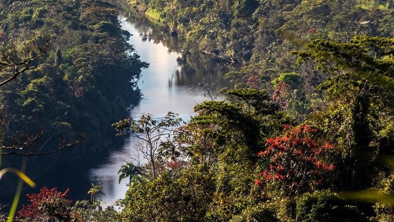 Ecuador y Alemania analizan vías para ampliar la cooperación medioambiental