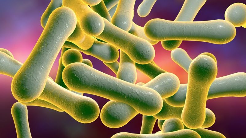 Difteria: confirman primer caso en Perú en 20 años
