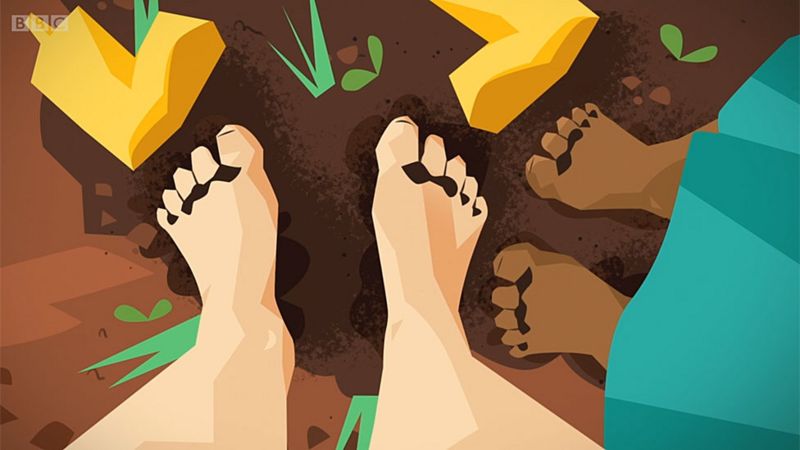 4 cosas que hacen de la tierra una de las cosas más asombrosas de nuestro planeta