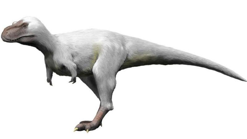 Cómo eran los dinosaurios polares y por qué desafían lo que pensábamos  sobre estos gigantescos animales