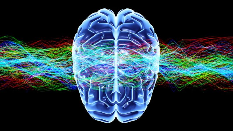 ¿Qué es la androginia cerebral y qué beneficios podría tener?