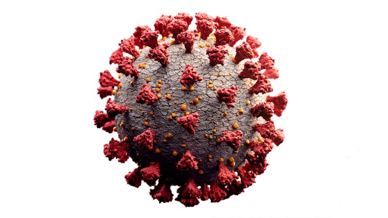 ¿Cómo fue identificado el primer virus de la historia?