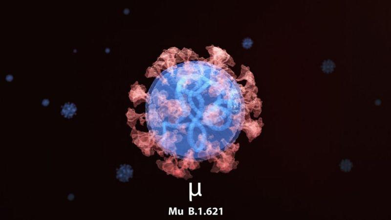 Qué se sabe realmente de la variante mu que está en Suramérica
