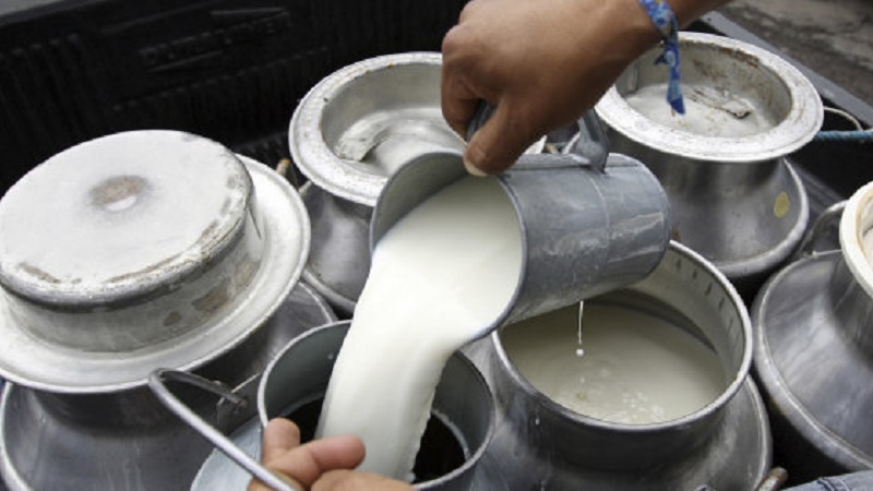 Polémica por uso de suero de leche en industria láctea