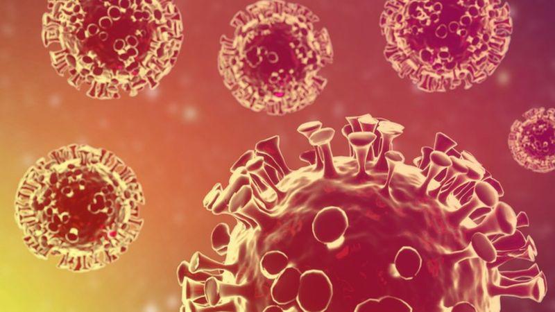 Coronavirus: la variante que llegó a Brasil por la Copa América es más transmisible y tiene una mutación inédita