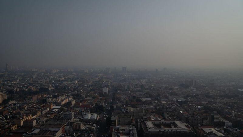 Por qué el aire que respiras y que se consideraba seguro ya no lo es, segun la OMS
