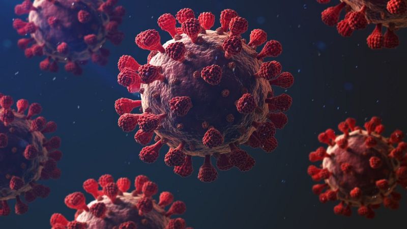 Coronavirus: 5 características que hacen tan mortal a la COVID-19