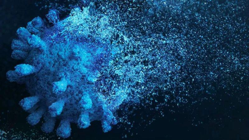 Virus de millones de años de antigüedad ayudan a combatir el cáncer, según un nuevo estudio