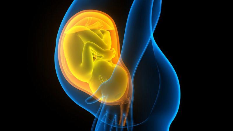 Qué es el conflicto genético que se desata naturalmente con el embarazo y por qué puede generar complicaciones para el feto y la madre