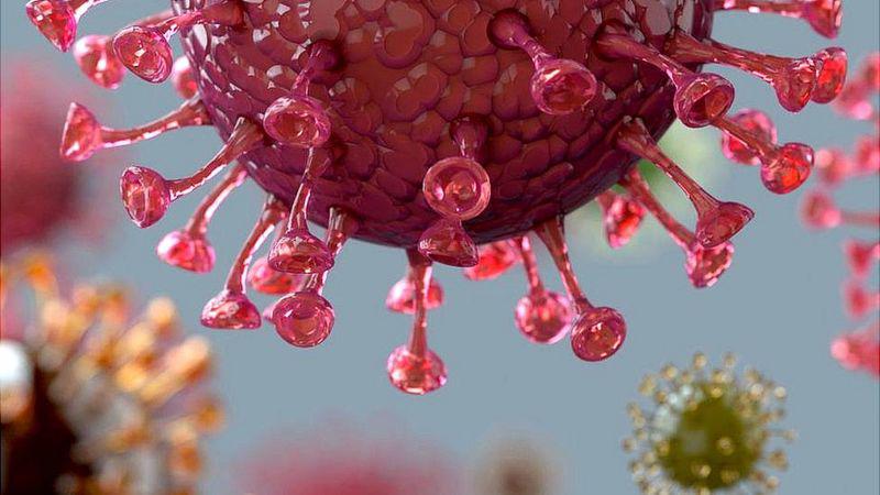 La mujer que murió tras infectarse simultáneamente con dos variantes de COVID-19