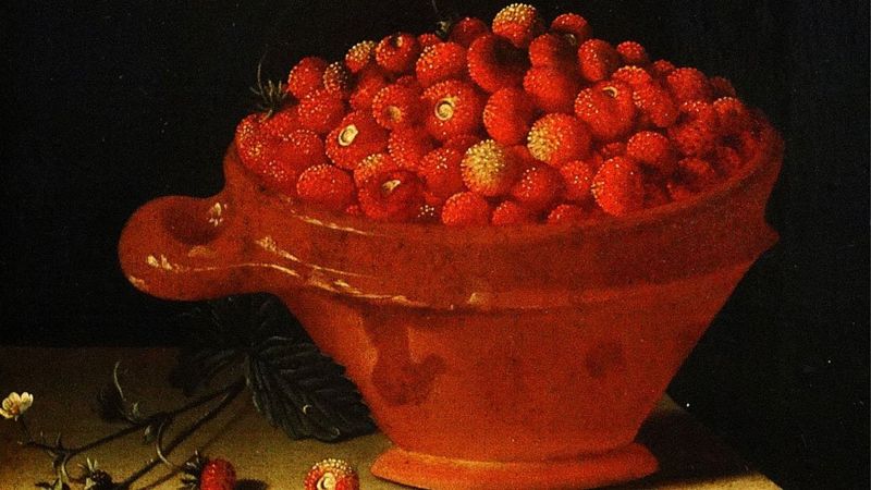 Por qué todas las fresas que comemos se originaron en Chile