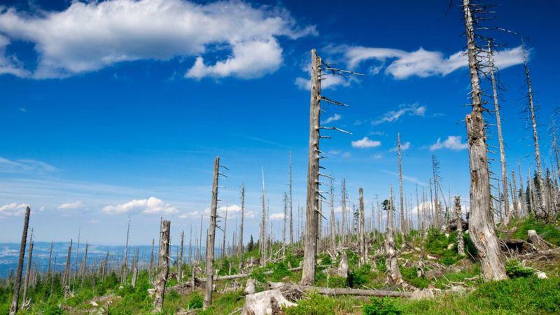 3 desastres medioambientales que casi hemos solucionado