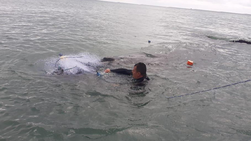 Rescatan a ballena jorobada en Esmeraldas