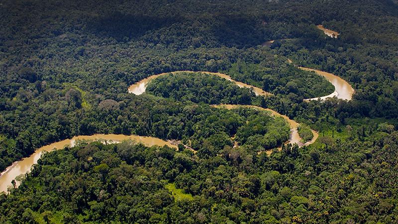Noruega destinará 3,7 millones de dólares para reforestación en Amazonía ecuatoriana