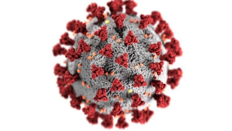 Coronavirus: qué se sabe de la variante de "doble mutación" encontrada en India