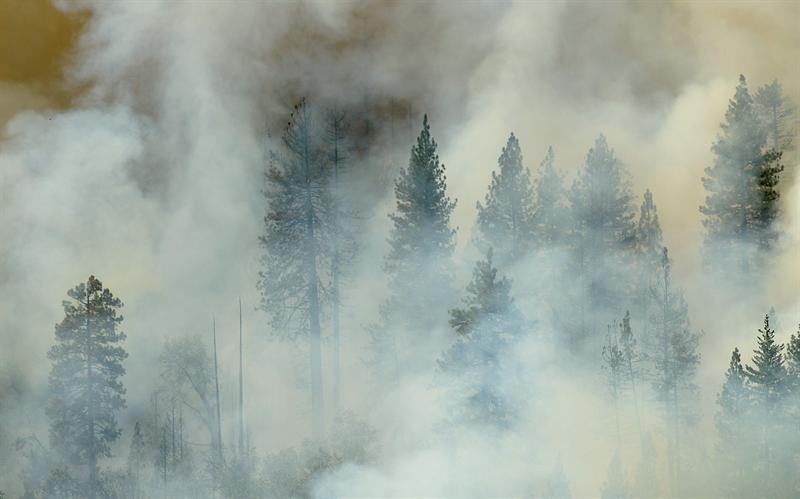 Incendio forestal en California arrasa miles hectáreas y amenaza viviendas