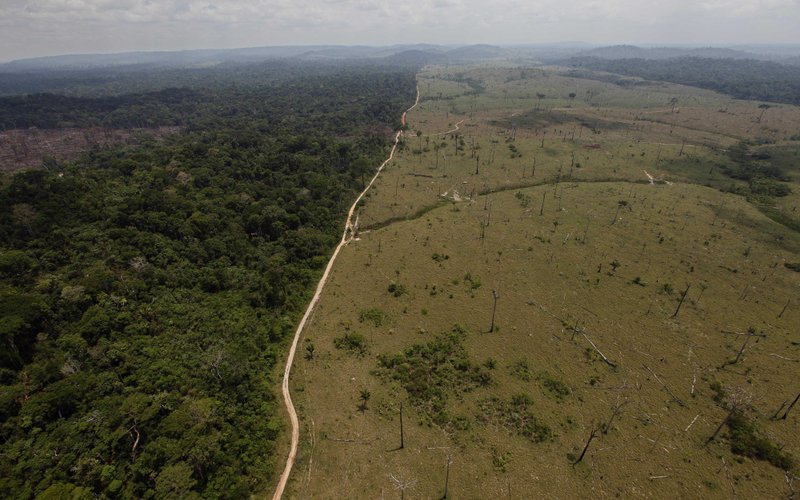 Deforestación en Amazonía alcanza su mayor nivel desde 2008