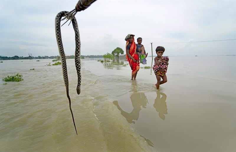 Lluvias causan al menos 109 muertos en Nepal e India