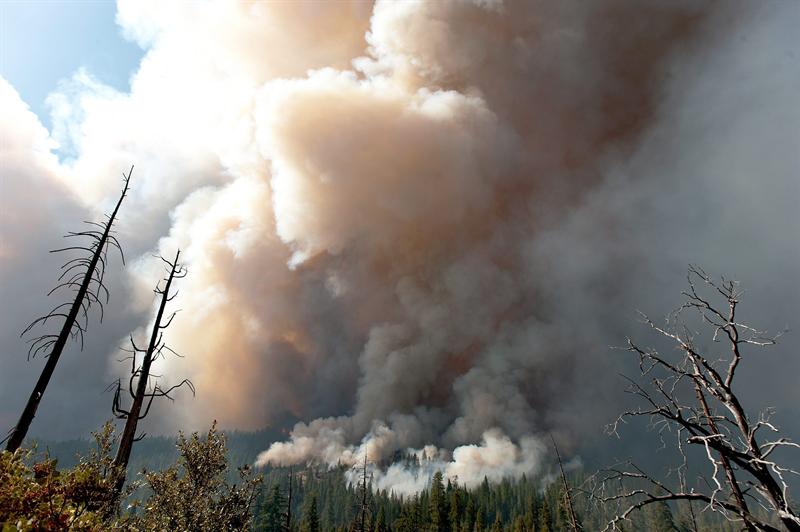 Incendio fuera de control comienza a quemar parque nacional en California