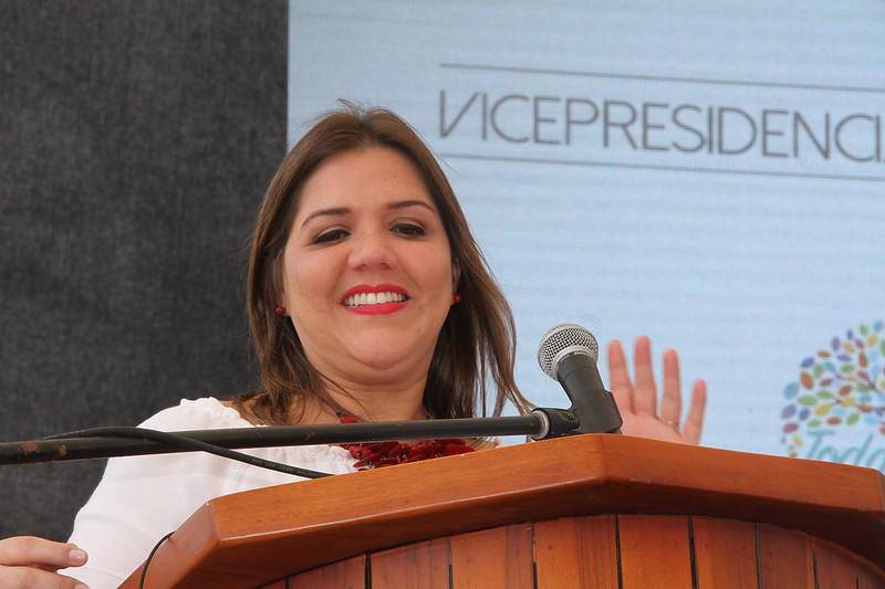 Vicuña enfrentará proceso por supuesto uso de documento falso